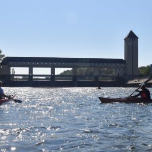 LE CANAL DE MIRIBEL EN CANOE OU KAYAK - Journée – Image 5