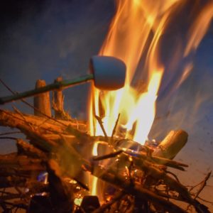 Atelier faire son Feu de Camp - 1/2 Journée – Image 4