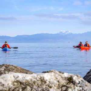 LE LAC LEMAN EN KAYAK - Journée – Image 3