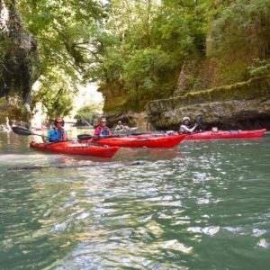 LE HAUT RHÔNE FRANCO-SUISSE EN CANOE OU KAYAK - Journée – Image 4