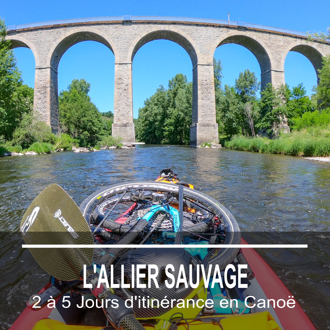 Carre 2023 Allier sauvage