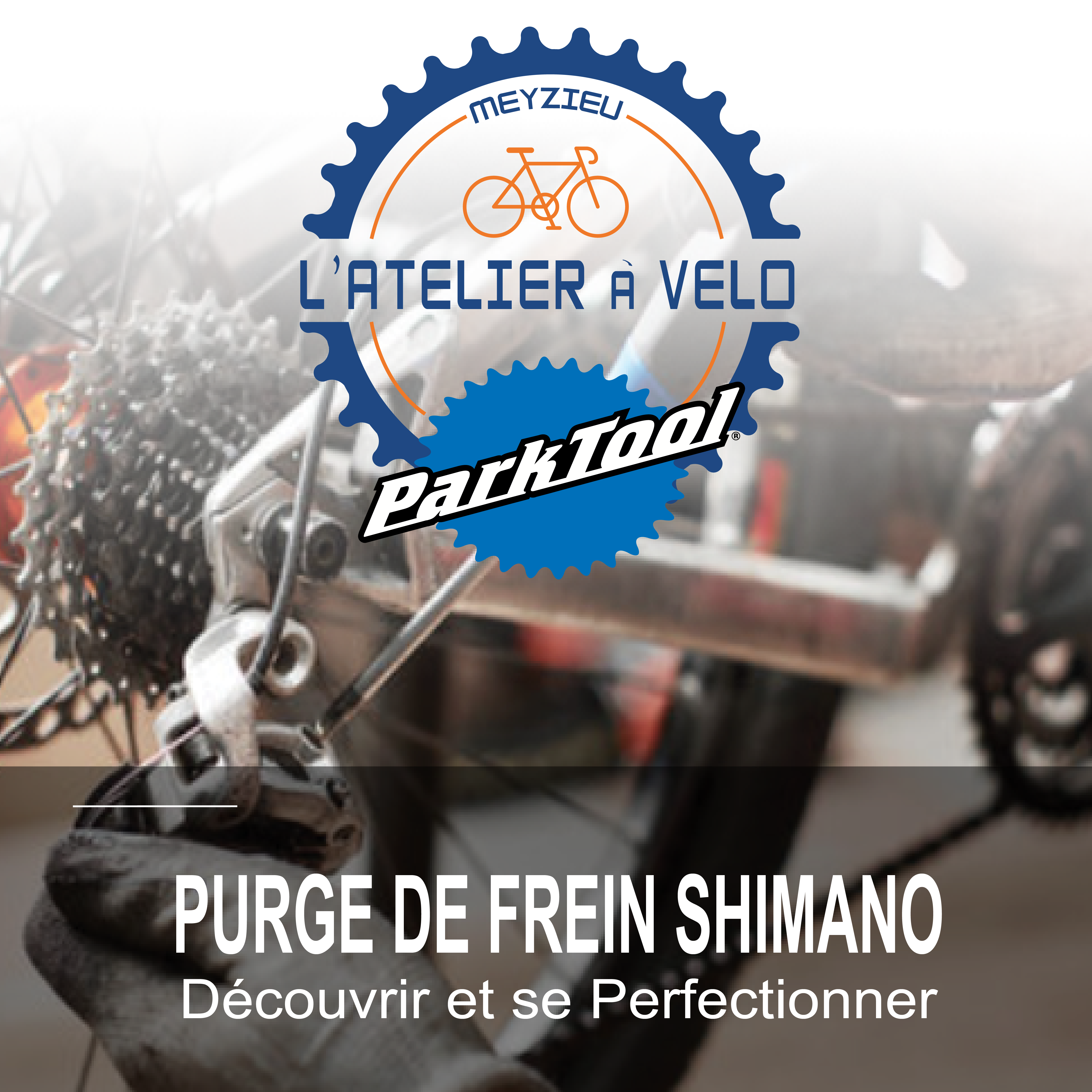 2024 – Produit Atelier Purge Shimano-01